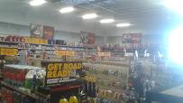 Advance Auto Parts02