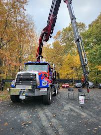 Woodchips Tree, Crane and Dumpsters02