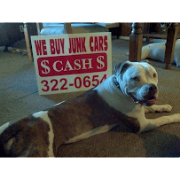 Cash For Junk Cars Albany NY03