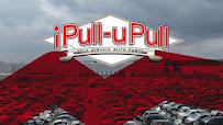 IPull-uPull Auto Parts03