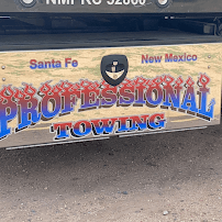 Professional Towing03