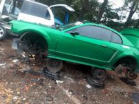 Highway 54 Salvage04
