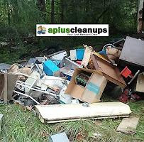 A+ Clean-Up (Junk Removal and Property Cleanups)04