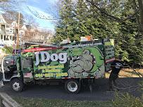 JDog Junk Removal & Hauling05