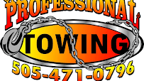 Professional Towing05