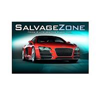 Salvage Zone inc06