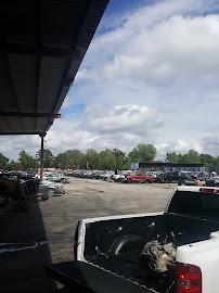 Texmex Auto Salvage07