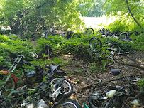 Jim's ATV Salvage & Repair08