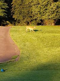 Redwood Falls Golf Club09