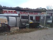 Bama Salvage09