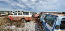 Ivy Bluff Auto Salvage09