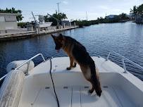 TowBoatU.S. Big Pine Key & Cudjoe Key09