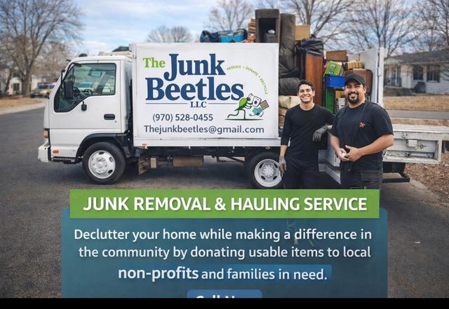 The junk beetles
