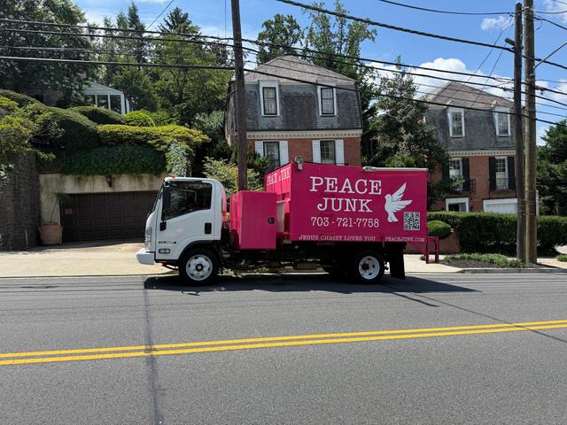 Peace Junk