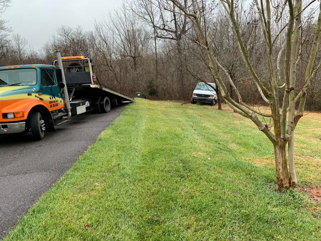 Running bear towing and collision
