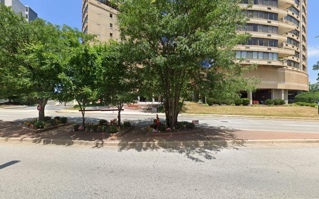 Hampton Automotive Service, Towson, Maryland