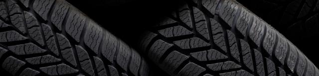 Ridge Plaza Tire & Auto, Davie, Florida