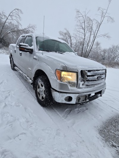 Sesser Auto Body