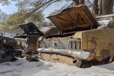 Tosy's Ford Mustang Farm