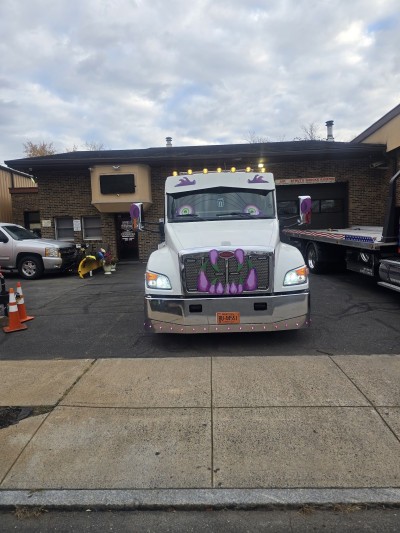 Alpha Auto Towing