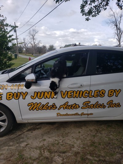 Mike's Auto Sales Inc