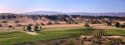 Rusack Vineyards