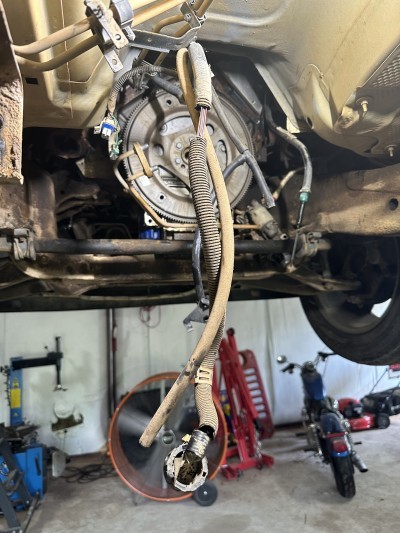Molena Automotive LLC