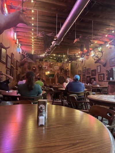 Blue Agave