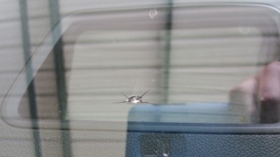 S & S Auto Glass