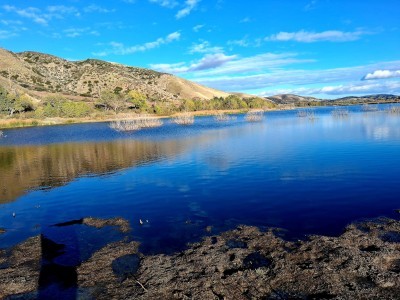 Elizabeth Lake
