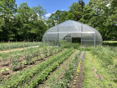 Potter Hollow Garden