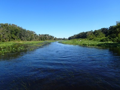 Wekiva River