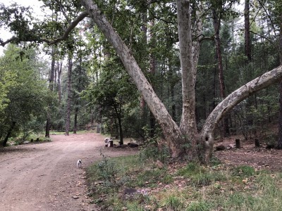 Rose Creek Campground