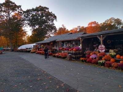 Rock Ridge Farm
