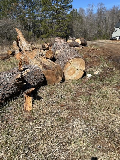 Elkins Sawmill Inc