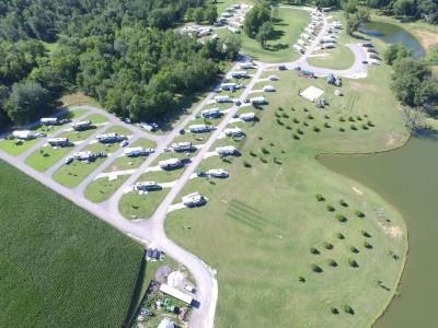 Buena Vista Farms Inc