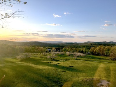 Douglas Hill Orchard