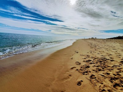 Chappaquiddick Island