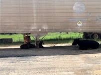Georgetown Metal Recycling