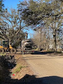 Shelton's Salvage Yard