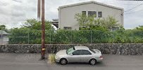 Junk Yard Dogs - Hilo & Kona, Big Island Hawaii