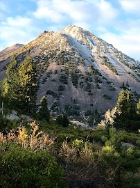 Black Butte Transfer Recycle