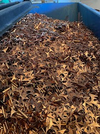 Durable Metals