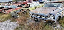 Ivy Bluff Auto Salvage