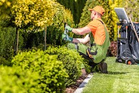 Cheap Lawn Care Fl Keys