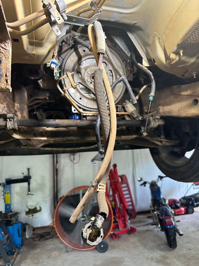 Molena Automotive LLC