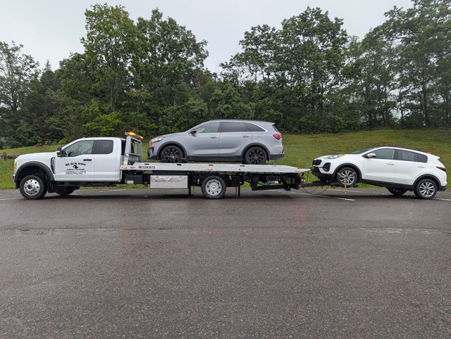 Black Dog Towing and Recovery