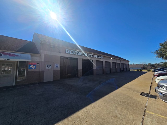 Goose Auto Repair - Missouri City