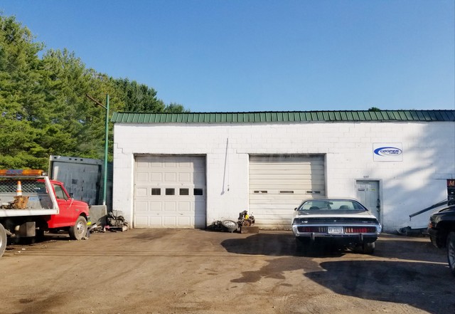 nettie auto body