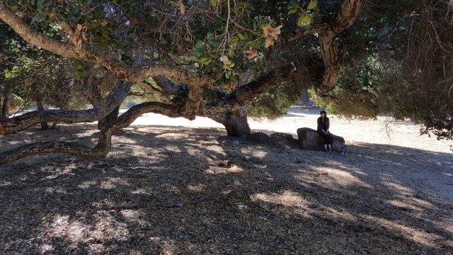 Robles del Rio Old Parking Lot